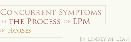 Concurrent Symptoms in the Processd of EPM in Horses - by Linsey McLean